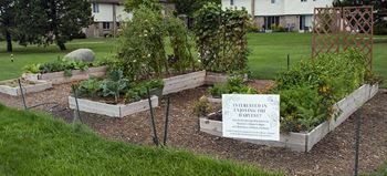 Community garden